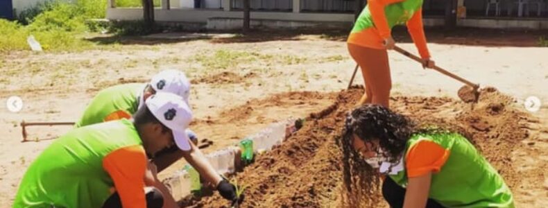 Foto: Divulgação/Governo do Estado do Ceará